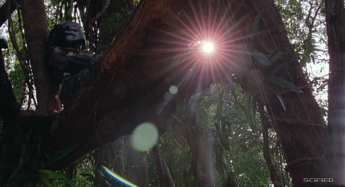 Predator - Up In The Trees